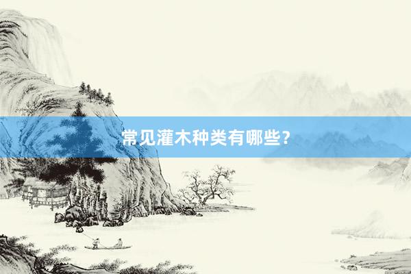 常见灌木种类有哪些？